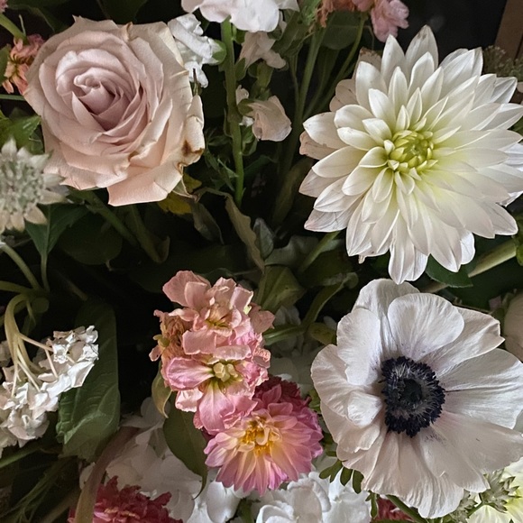 Meet your Posher, Elizabeth - Picture 5 of 5